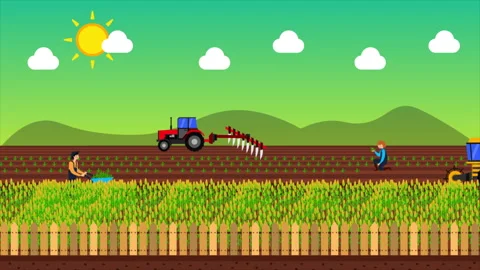 Farmer People Work in the Area Stock Footage 281457514