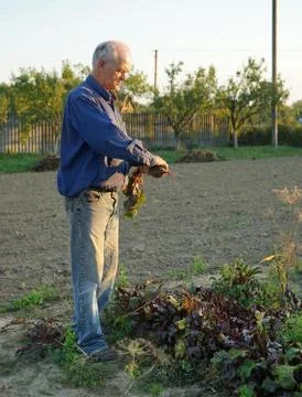 Farmer 스톡 사진