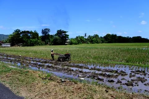 Farmer Stock Photos