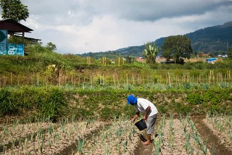 A farmer Stock Photos
