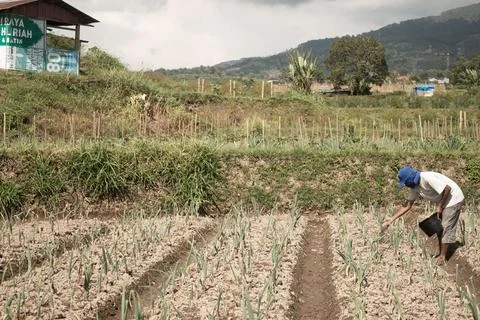 A farmer Stock Photos