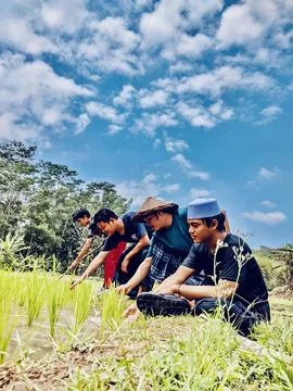 The farmer Stock Photos