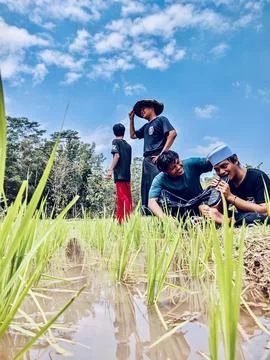The farmer 스톡 사진