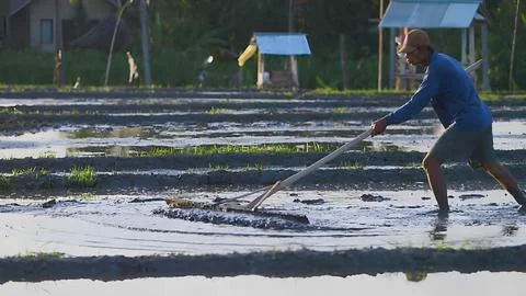 Farmer Stock Photos