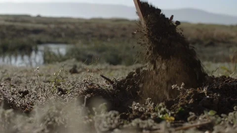 Farmer with a pickaxe makes a hole in the ground for planting seedlings Stock Footage 122073429