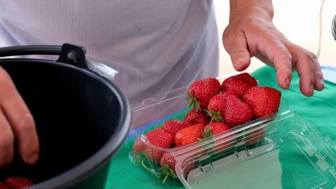 Farmer is picking up strawberries to sell. Stock Footage 124963302