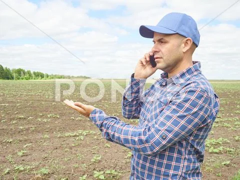 Farmer In A Plaid Shirt Controlled His Field.talking On Phone.