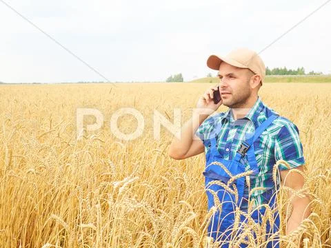 Farmer In A Plaid Shirt Controlled His Field. Talking On The Phone. Wheat Har