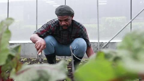 Farmer Plow the soil in the vegetable plot Stock Footage 192610148