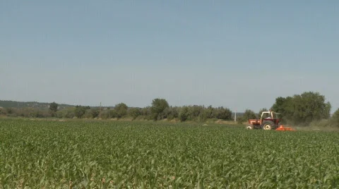 Farmer plowing the field Stock Footage 277775
