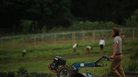 Farmer Plowing Field  動画素材 594091
