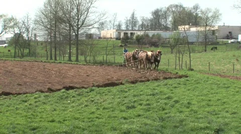 Farmer Plowing Field Stock Footage 678038