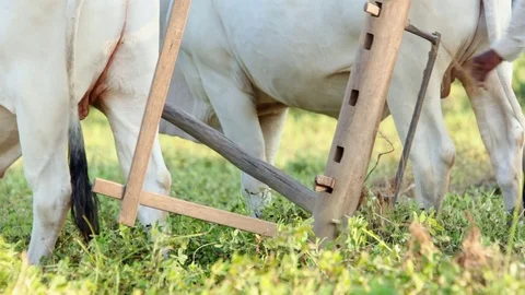 Farmer plowing field Stock Footage