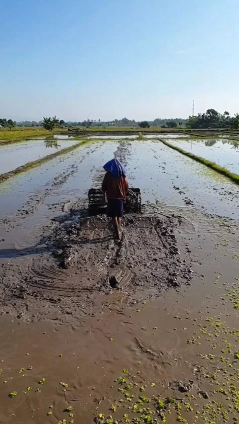 Farmer plowing the field Stock Footage 210767110