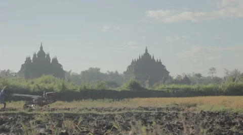 Farmer plowing a field using a tractor at Plaosan temple Video stock 52000753