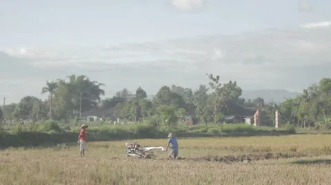 Farmer plowing a field using a tractor Video stock 52002230