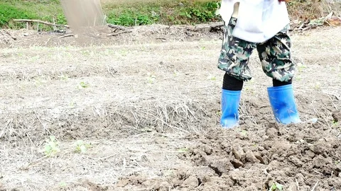 Farmer is plowing his land using hand hoe Video stock 101036052