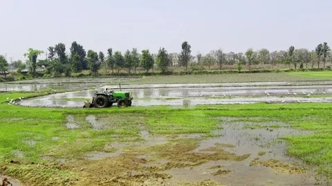 A farmer plows his field with a Tractor in preparation for rice planting Stock Footage 305615698