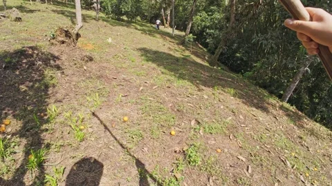 Farmer point of view walking through hillside. 動画素材 330215211
