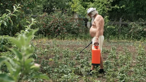 Farmer to poison insects Stock Footage 91352088