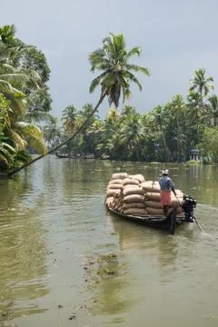 Farmer Porting Grains Stock Photos