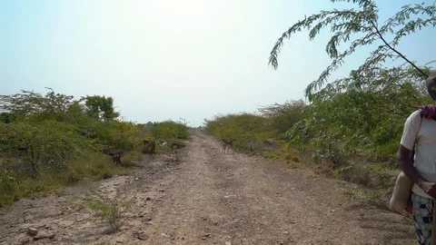 Farmer posing for camera Stock Footage 121875343