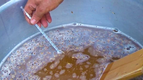 Farmer prepares craft beer after toasted barley Stock Footage 70533006