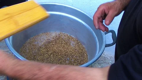 Farmer prepares craft beer after toasted barley Vidéo 70533459