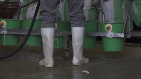 Farmer Prepares Milk for Cows, Boots Close Up Stock Footage