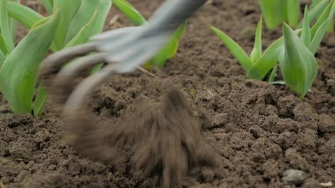 Farmer preparing land rake, close up Stock Footage 129271127