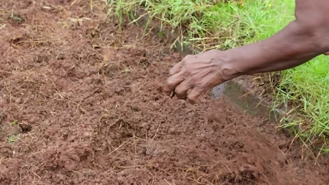 A farmer preparing the soil before plantation Stock Footage 273282707