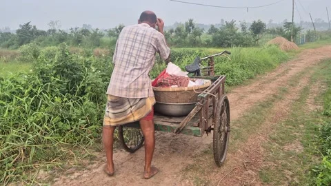 Farmer Preparing Three Wheeled Cycle Van With Baskets For Vegetable Harvest Stock Footage 337456744