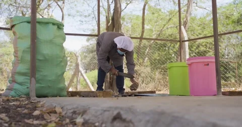 A farmer processing baobab fruit after harvesting. Stock Footage 273327951