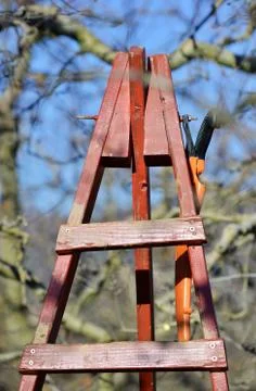 Farmer pruning apple tree in winter Stock Photos