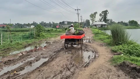 Farmer Pulling Loaded Cycle Van Through Muddy Rural Road After Vegetable Harvest Stock Footage 337456748