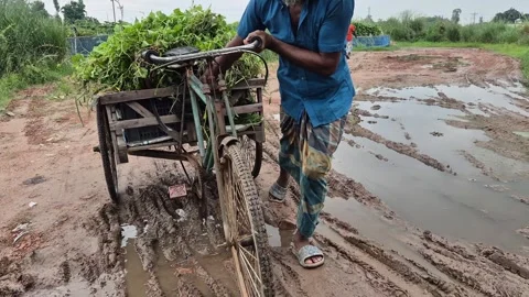 Farmer Pulling Loaded Three Wheeled Van Through Muddy Rural Road After Rain Stock Footage 341941396