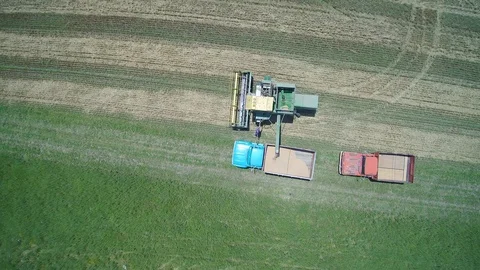 Farmer pulling up to truck to dump wheat harvest Stock Footage 111544947