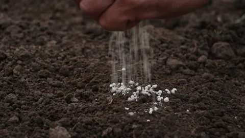 Farmer puts seed in the ground and sprinkles it with fertilizer Stock Footage 113682237