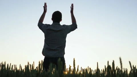 A farmer with raised hands standing in the middle of a golden wheat field during Stock Footage 199551807
