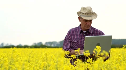 Farmer in a rape field, working on laptop Stock Footage