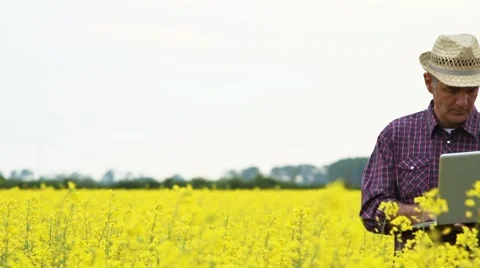 Farmer in a rape field, working on laptop; Full HD Photo JPEG Stock Footage 8660596