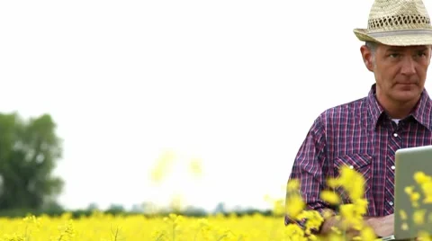 Farmer in a rape field, working on laptop; Full HD Photo JPEG Stock Footage 8660704