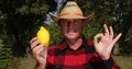 Farmer Recommend Lemon Fruit and Make Ok Hand Sign Good Job Gestures 4k or 4k+ Resolution