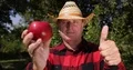 Farmer Recommending with Thumbs Up Sign Red Apple Consumption Vitamins Diet 4k or 4k+ Resolution