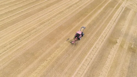 Farmer with red tractor plows open country field at summer Stock Footage 135253006