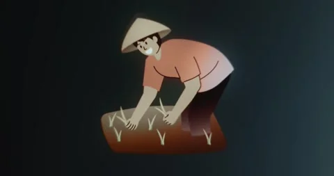 Farmer in a rice field Stock-Footage 314731483