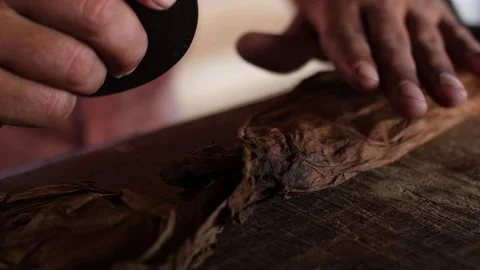 A Farmer Rolls Cigars Inside A Traditional Tobacco Barn Vinales Valley Cuba Vidéo 93489309