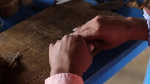 A Farmer Rolls Cigars Inside A Traditional Tobacco Barn Vinales Valley Cuba Vidéo 93489417