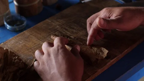 A Farmer Rolls Cigars Inside A Traditional Tobacco Barn Vinales Valley Cuba Vidéo 93489433