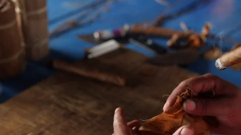 A Farmer Rolls Cigars Inside A Traditional Tobacco Barn Vinales Valley Cuba Vidéo 93489529